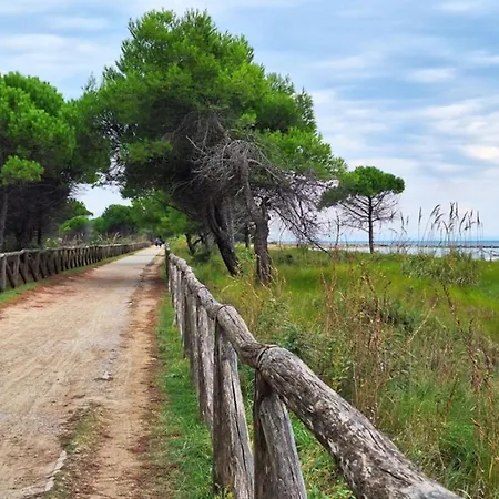 Bright Flat With Shared Swimming Pool ביביונה